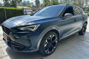 Cupra  Formentor 2.0l T Ct Tc